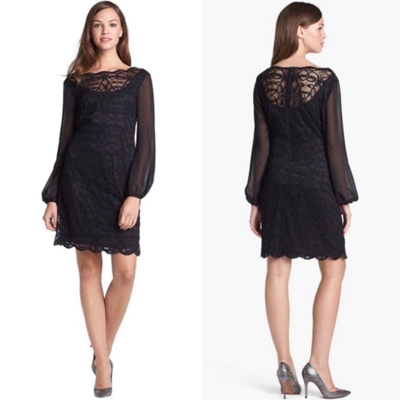 Adrianna Papell Lace Chiffon Scalloped Shift Dress - Picture 2 of 16